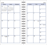 3x6 wirebound monthly planner pages